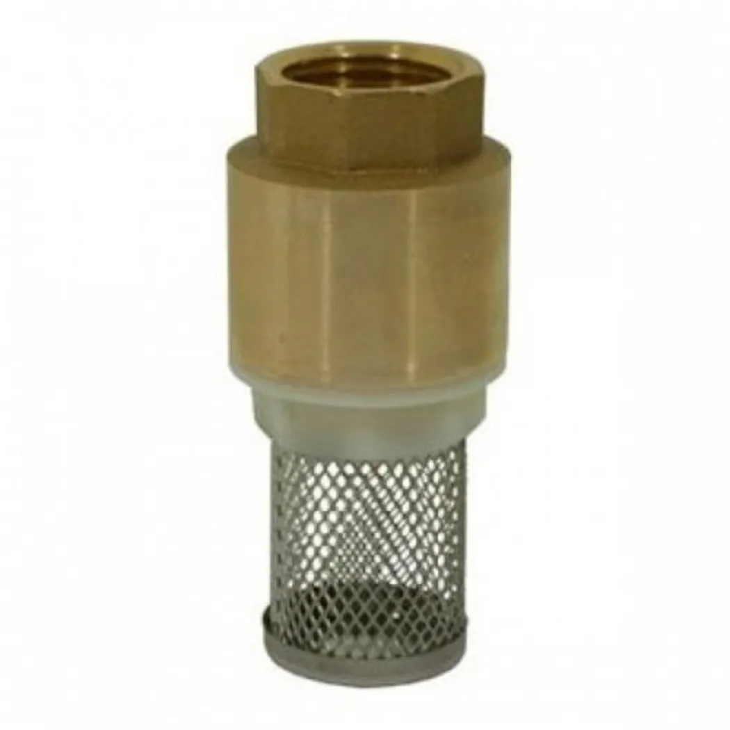 Клапан обратный латунный, SGL, Ду-100, Ру-10, муфтовый, с сеткой ГРОЕН